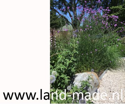 Landmade AudreyCoert tuinontwerp prairietuin juni 3